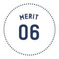 MERIT06
